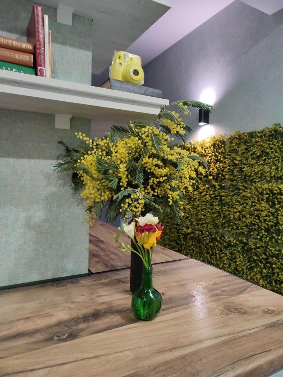 Round Garden Hotel تبليسي المظهر الخارجي الصورة